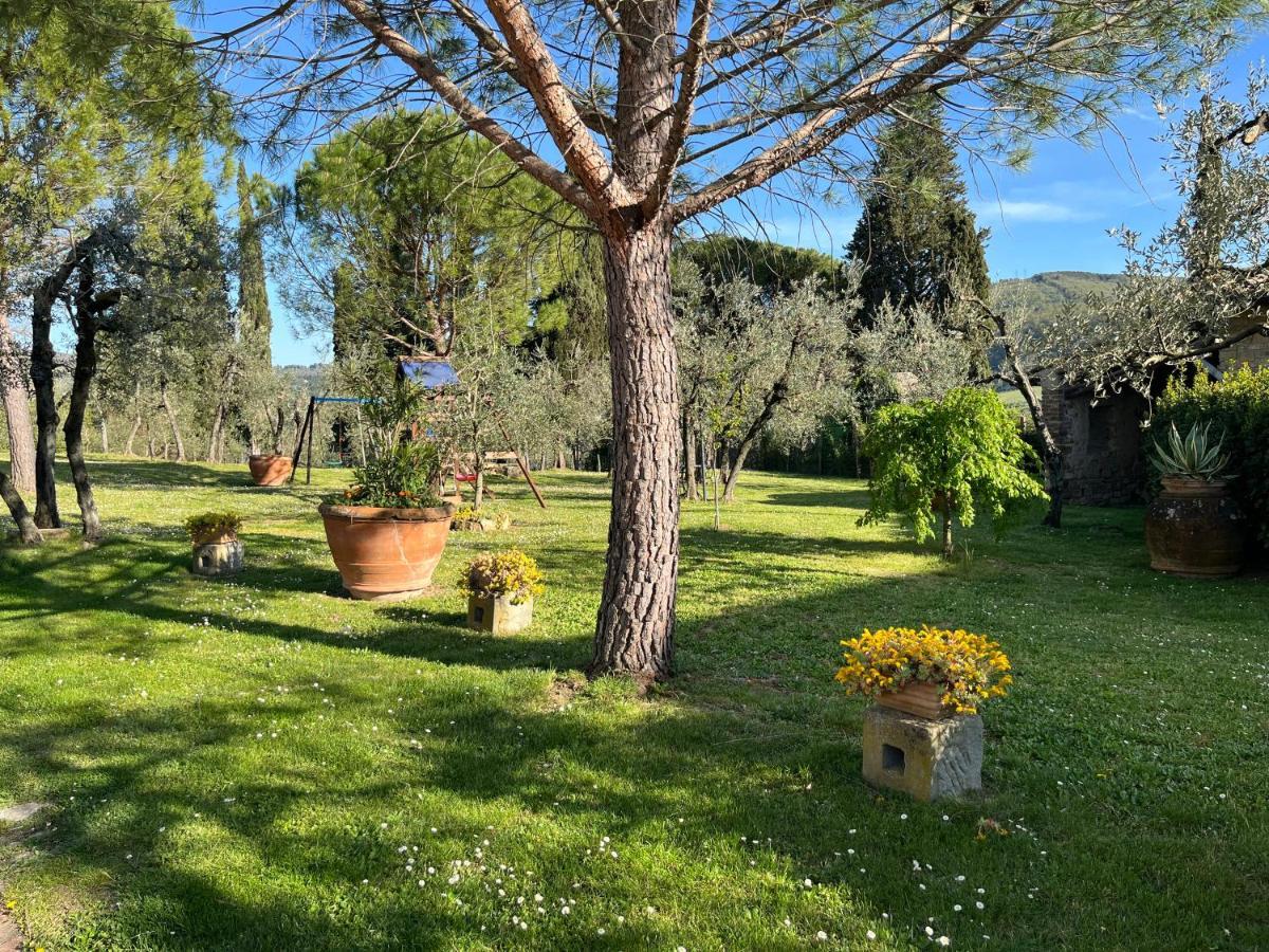 Il Viaio