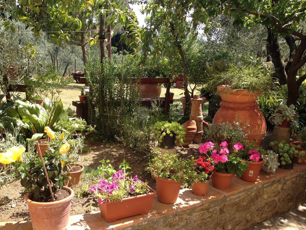 Il Viaio Farm stay *