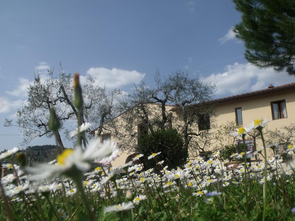 Farm stay Il Viaio