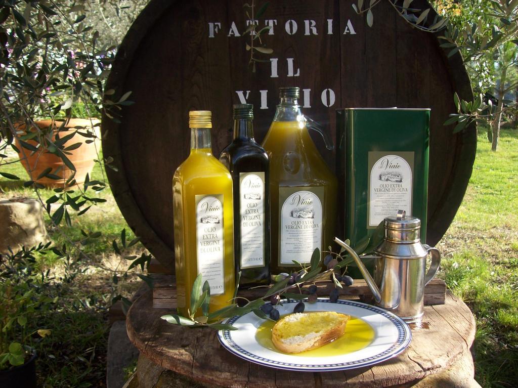 Farm stay Il Viaio Fiesole
