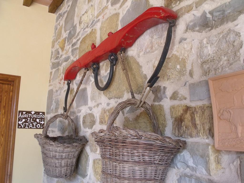 Farm stay Il Viaio
