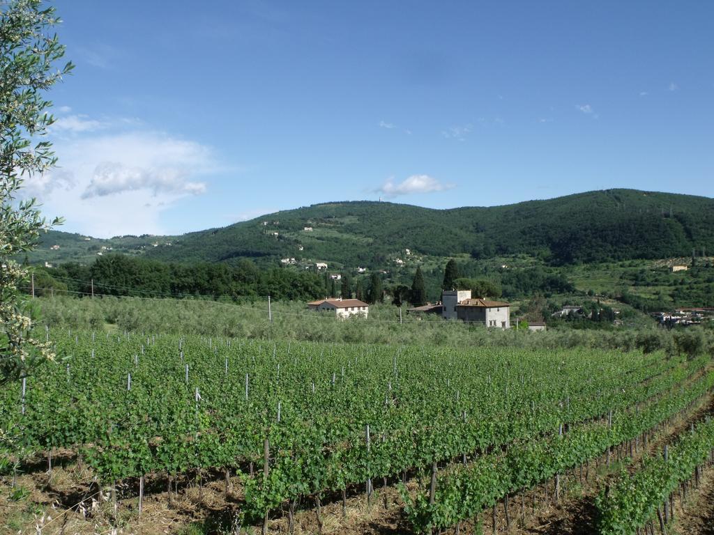 Séjour à la ferme Il Viaio